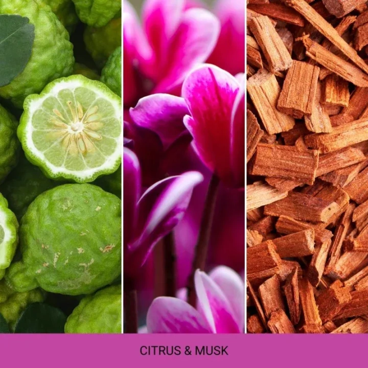 MR&MRS FRAGRANCE Niki uzupełniacz do odświeżacza do auta CITRUS&MUSK 12g