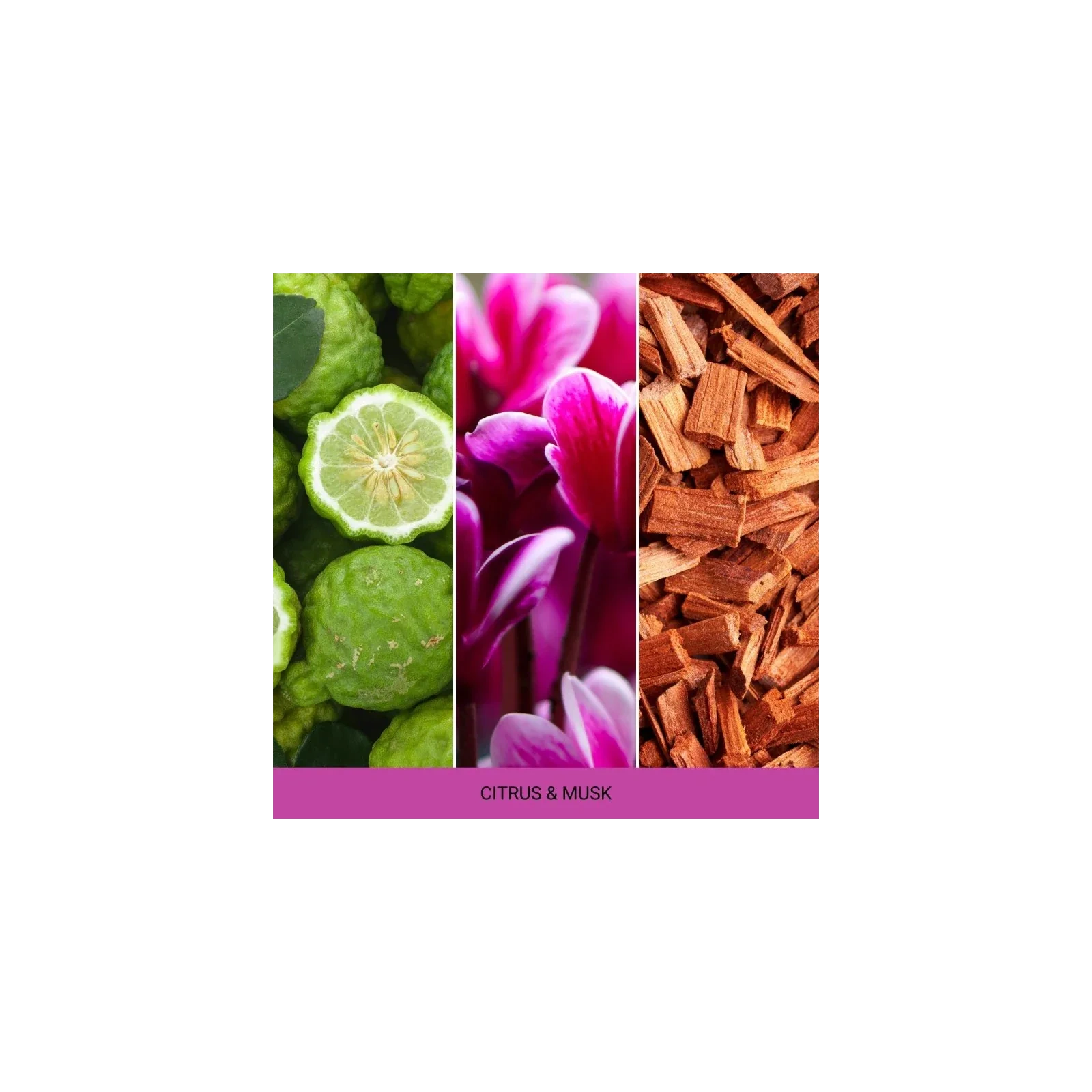 MR&MRS FRAGRANCE Niki uzupełniacz do odświeżacza do auta CITRUS&MUSK 12g