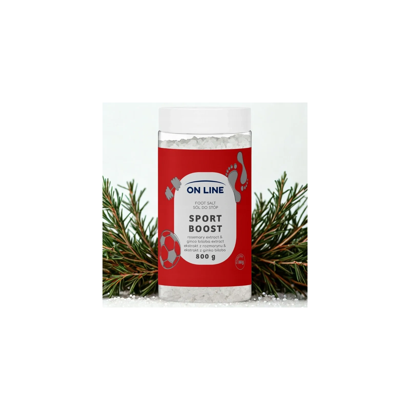 ON LINE sól do stóp Rozmaryn i Ginko Biloba 800g