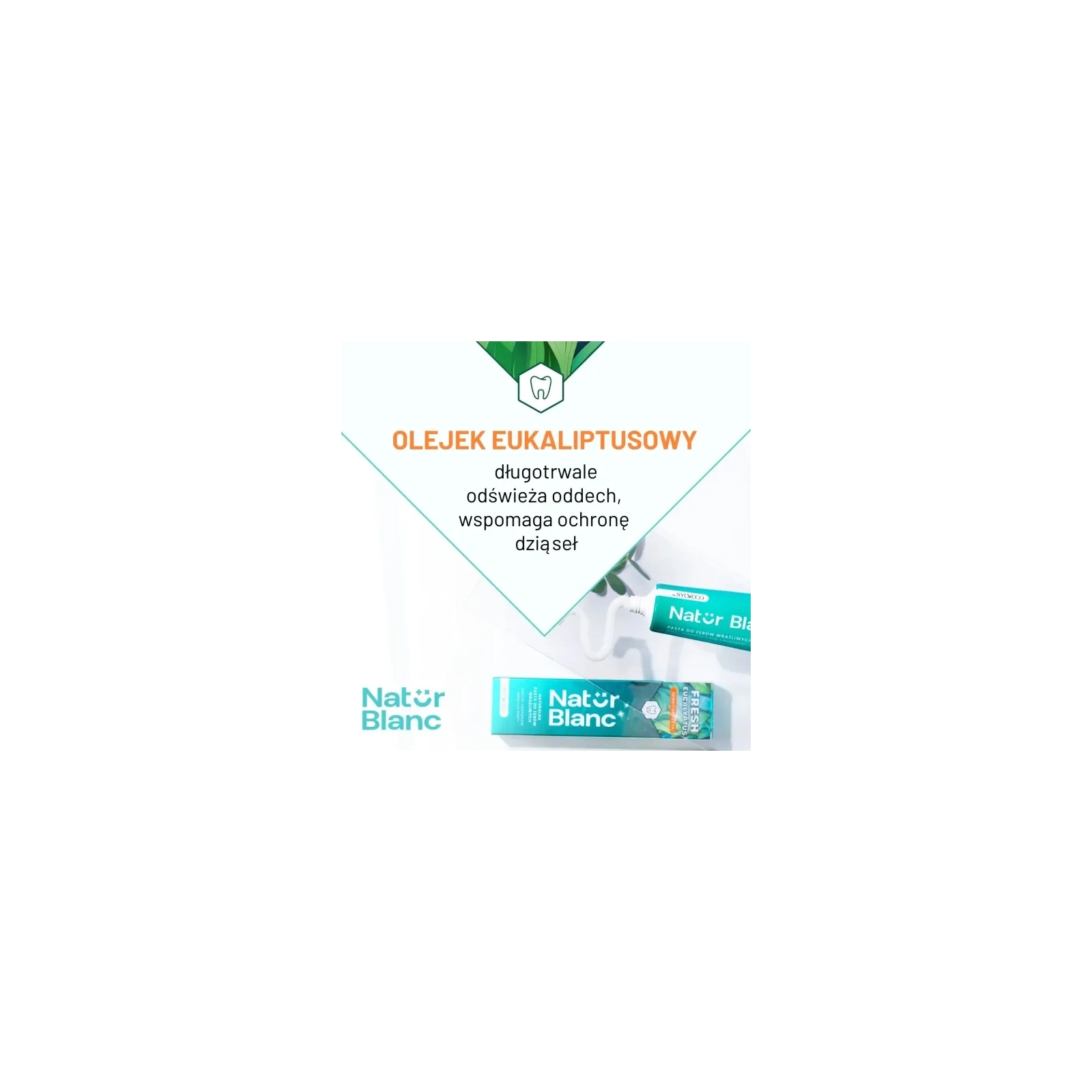 SYLVECO Natur Blanc pasta do zębów wrażliwych Fresh Eucalyptus 100ml 