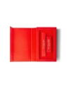 PAESE The Kiss Lips zestaw konturówka i pomadka w płynie 06 Classic Red 