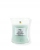 WOODWICK PlusWick średnia świeca w słoiku MAGNOLIA BIRCH 275g