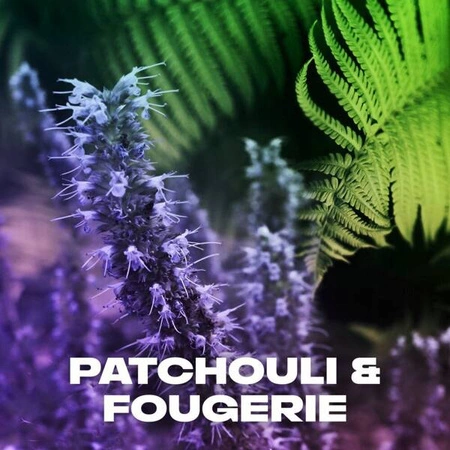 AXE Men Musk dezodorant w sprayu 150ml