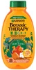 GARNIER Garnier Botanic Therapy Kids szampon Król Lew 250ml