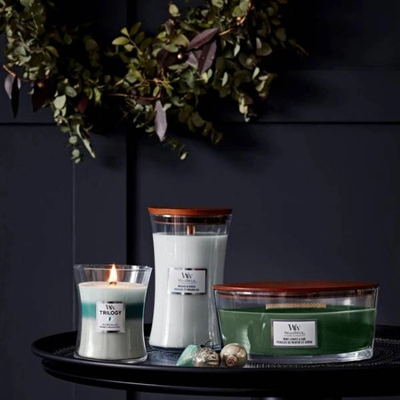 WOODWICK PlusWick duża świeca w słoiku MAGNOLIA BRICH 609,5g