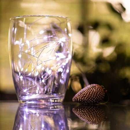 ECARLA światełka na zyłce 20 LED biale zimne LAMP25B