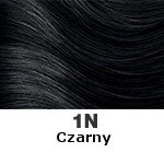 1N Czarny