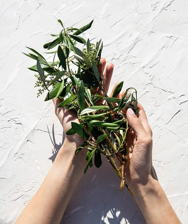 KORRES Pure Greek Olive żel pod prysznic Olive Blossom 250ml