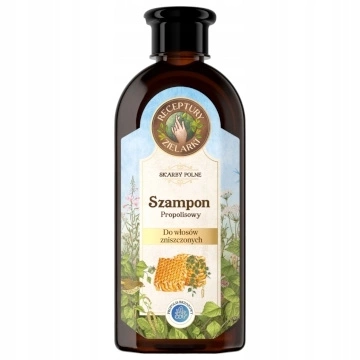 RECEPTURY ZIELARKI Skarby Polne szampon Propolis Brzozowy 350ml