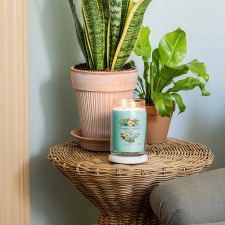 YANKEE CANDLE Signature Duża świeca w słoiku ALOE & AGAVE 567g