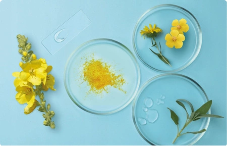 HERBATINT Bio Organic Hydrate szampon do włosów nawilżający 260ml