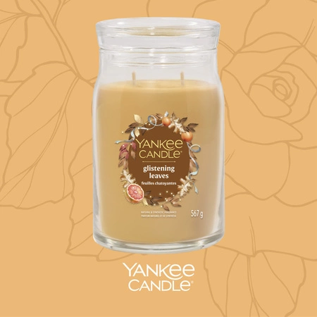 YANKEE CANDLE Signature Duża świeca w słoiku GLISTENING LEAVES 567g