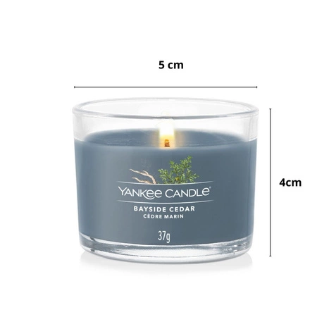 YANKEE CANDLE Signature Mini świeca w słoiku BAYSIDE CEDAR 37g