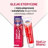 SYLVECO Natur Blanc pasta do zębów reminalizująca Sweet Cinamon 100ml
