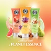 DAX Perfecta Planet Essence balsam do ciała Gruszka i Karmel 250g 