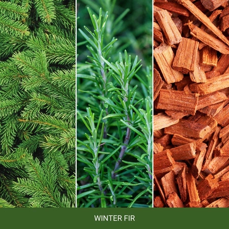 YANKEE CANDLE Home Inspiration Wax wosk zapachowy WINTER FIR 75g