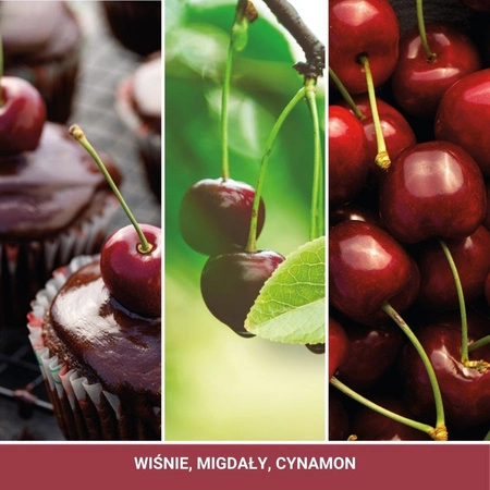 YANKEE CANDLE Signature Mini świeca w słoiku BLACK CHERRY 37g