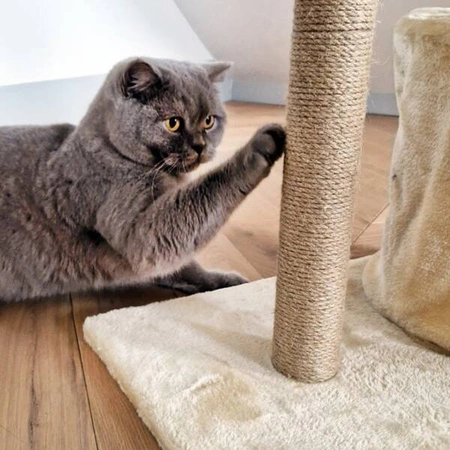 ECARLA drapak dla kota Kremowy KOT13K