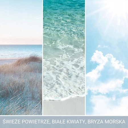 YANKEE CANDLE Reed Diffuser pałeczki zapachowe OCEAN AIR 100ml