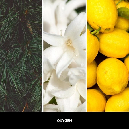 MILLEFIORI MILANO Aria wkład do elektrycznego odświeżacza powietrza OXYGEN 20ml