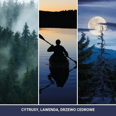 YANKEE CANDLE Signature Duża świeca w słoiku MIDSUMMER'S NIGHT 567g