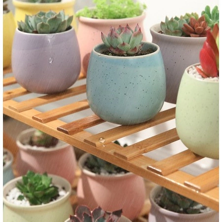 ECARLA Kwietnik drabinka na kwiaty 4 poziomy 70x47x122cm POL04