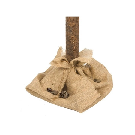 ECARLA choinka na pniu ośnieżony świerk 180cm CHO09