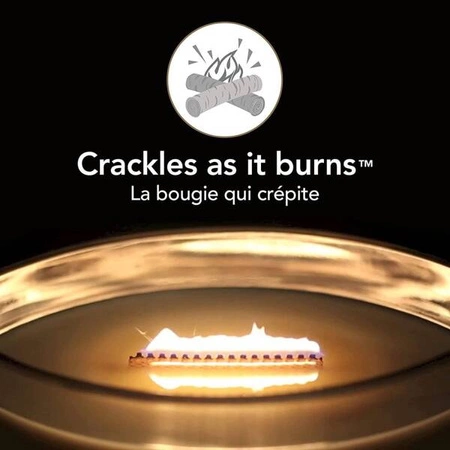 WOODWICK Core Hearthwick świeca w słoiku elipsa PPRESSED BLOOMS & PATCHOULI 453g