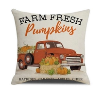 ECARLA Jesień poszewka na poduszkę 45x45cm BOHO Auto POD105