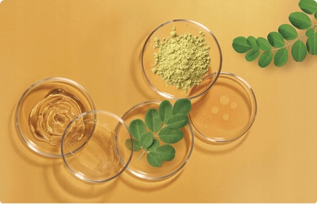 HERBATINT Bio Organic Repair szampon do włosów naprawczy 260ml