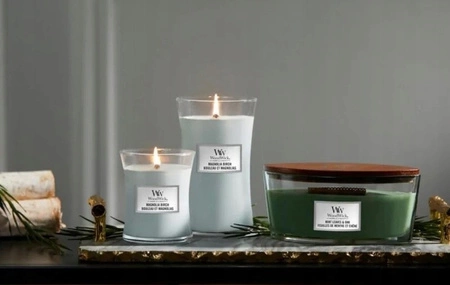 WOODWICK PlusWick średnia świeca w słoiku MAGNOLIA BIRCH 275g