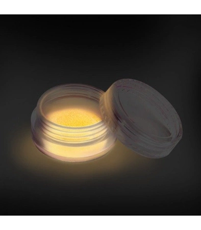 NEESS Efekt Fluo Effect 3581 Pomarańczowy 2g