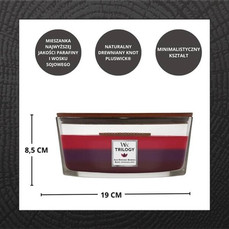 WOODWICK Hearthwick Trilogy świeca w słoiku elipsa SUN-RIPENED BERRIES 453g