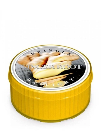KRINGLE CANDLE Ginger Root świeczka zapachowa Daylight 35g