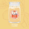 YANKEE CANDLE Signature Duża świeca w słoiku SLOPESIDE SPRITZ 567g