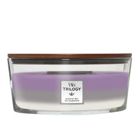 WOODWICK Hearthwick Trilogy świeca w słoiku elipsa AMETHYST SKY 453g