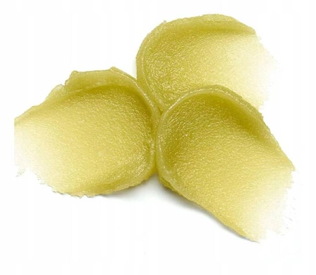 ESSENCE Lip Care Sugar Scrub peeling do ust 02 Matcha Latte 9g