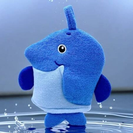 ECARLA myjka rękawiczka do mycia na mokro i sucho GB07N