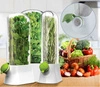 ECARLA pojemnik do przechowywania świeżych ziół do lodówki POJ09