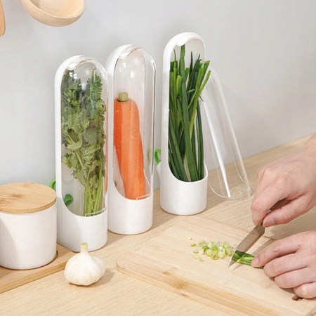 ECARLA pojemnik do przechowywania świeżych ziół do lodówki 25x6,5cm POJ08