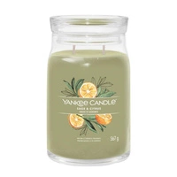 YANKEE CANDLE Signature Duża świeca w słoiku SAGE & CITRUS 567g