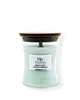 WOODWICK PlusWick średnia świeca w słoiku MAGNOLIA BIRCH 275g