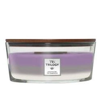 WOODWICK Hearthwick Trilogy świeca w słoiku elipsa Amethyst Sky 453g