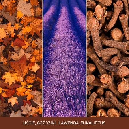 YANKEE CANDLE Classic Wax wosk zapachowy AUTUMN DAYDREAM 22g