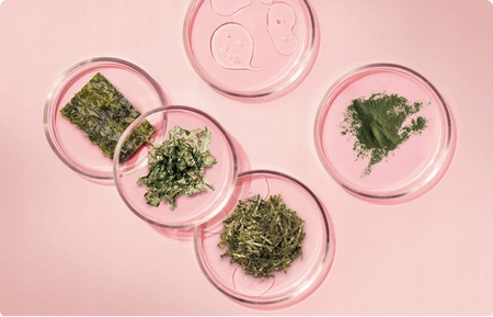 HERBATINT Bio Organic Rebuild maska do włosów odbuwowująca 200ml