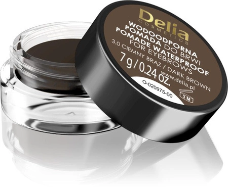 DELIA Eyebrow Expert Pomade wodoodporna pomada do brwi 3.0 ciemny brąz 7g