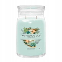 YANKEE CANDLE Signature Duża świeca w słoiku ALOE & AGAVE 567g