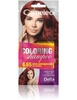 DELIA Cameleo Coloring szamponetka koloryzująca 5.65 Juicy Pomegranate 40ml