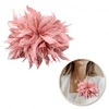 ECARLA broszka ozdobna, spinka do włosów 2w1 Pióra Pudrowy Róż BZ207R