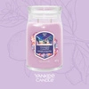 YANKEE CANDLE Signature Duża świeca w słoiku SUMMIT STARGAZING 567g